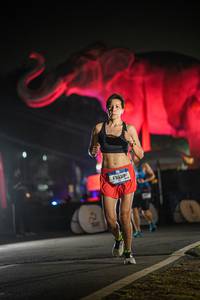 BIB: 
                            <button type="button" onclick="openModal(26531022)" class="btn btn-primary btn-sm float-right btn-popup" data-toggle="modal" data-target=".modal-high-quality">
                        <i class="fas fa-shopping-cart"></i> Add to Cart
                    </button>
                                            <button type="button" onclick="isThisMe(26531022, true)" class="btn btn-success btn-sm float-right btn-popup btn-isme hidden" data-toggle="tooltip" data-placement="bottom" title="นี่คือรูปของคุณใช่ไหม คลิกที่นี่เพื่อเอาเข้าอัลบั้ม">
                        <i class="fas fa-plus"></i> Add to album
                    </button>
                    <button type="button" onclick="isThisMe(26531022, false)" class="btn btn-warning btn-sm float-right btn-popup btn-isnotme hidden">
                        <i class="fas fa-ban"></i> Remove from album
                    </button>